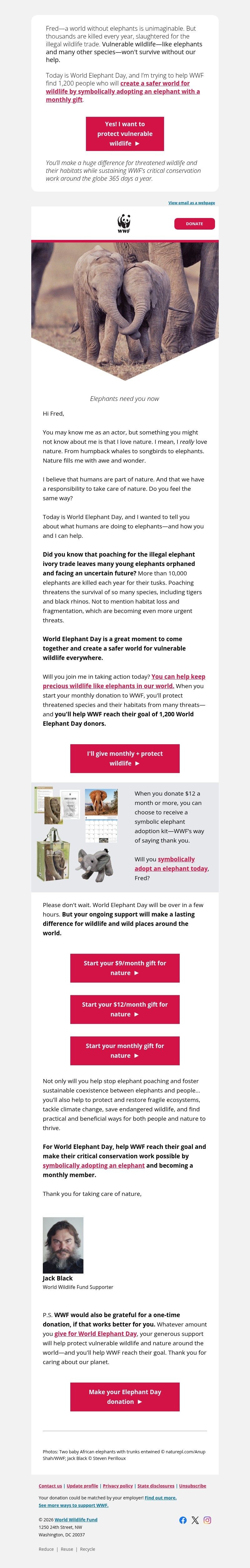Screenshot of email with subject /media/emails/4da41f9e-2ba6-4a77-9020-78da262dd005.jpg