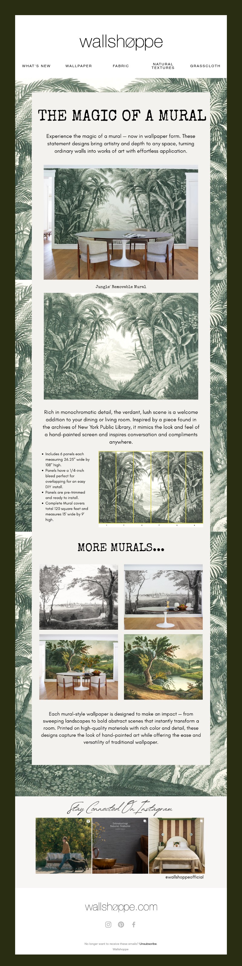 Screenshot of email with subject /media/emails/4dcc1d56-988a-4c38-8c8f-ef5e282d1851.jpg