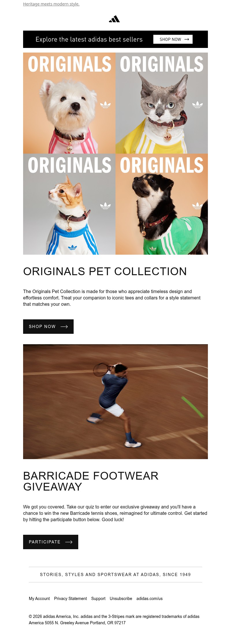 Screenshot of email with subject /media/emails/4e28e7e0-29f6-4f02-8b08-a279a3138ea6.jpg