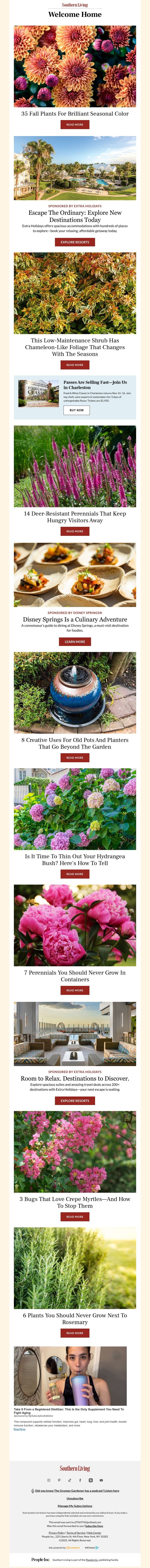 Screenshot of email with subject /media/emails/4e9aaa7f-3eea-4a00-ac55-4bd289da3d4d.jpg