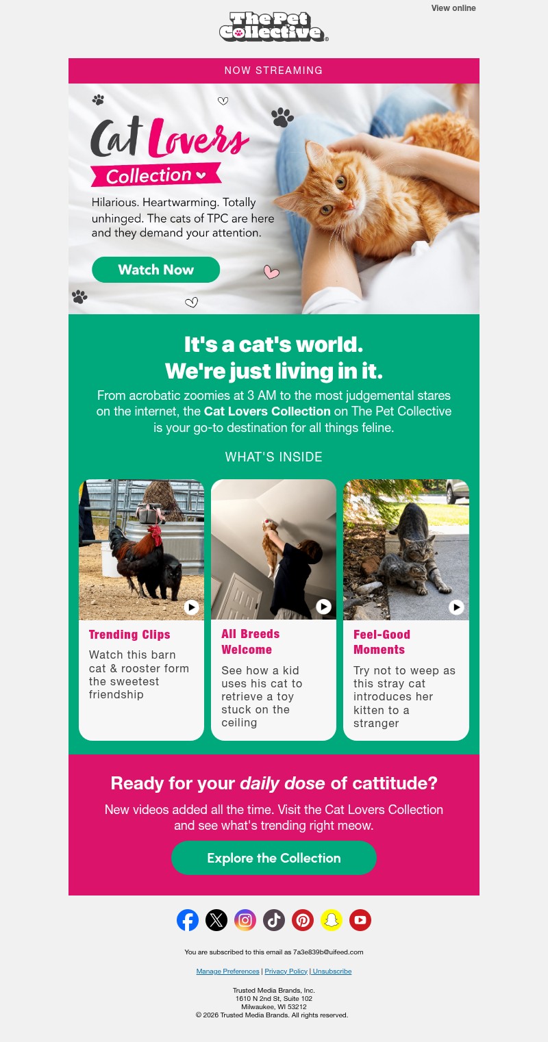 Screenshot of email with subject /media/emails/4f380d24-0976-4762-8a60-3531049613f9.jpg
