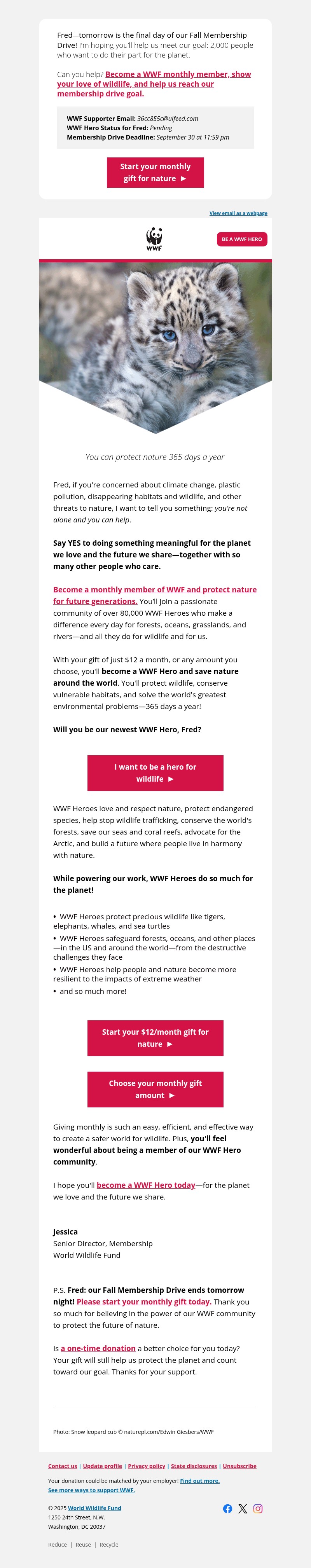 Screenshot of email with subject /media/emails/4fd388e2-febc-4084-ab2d-d2f97c9f8801.jpg