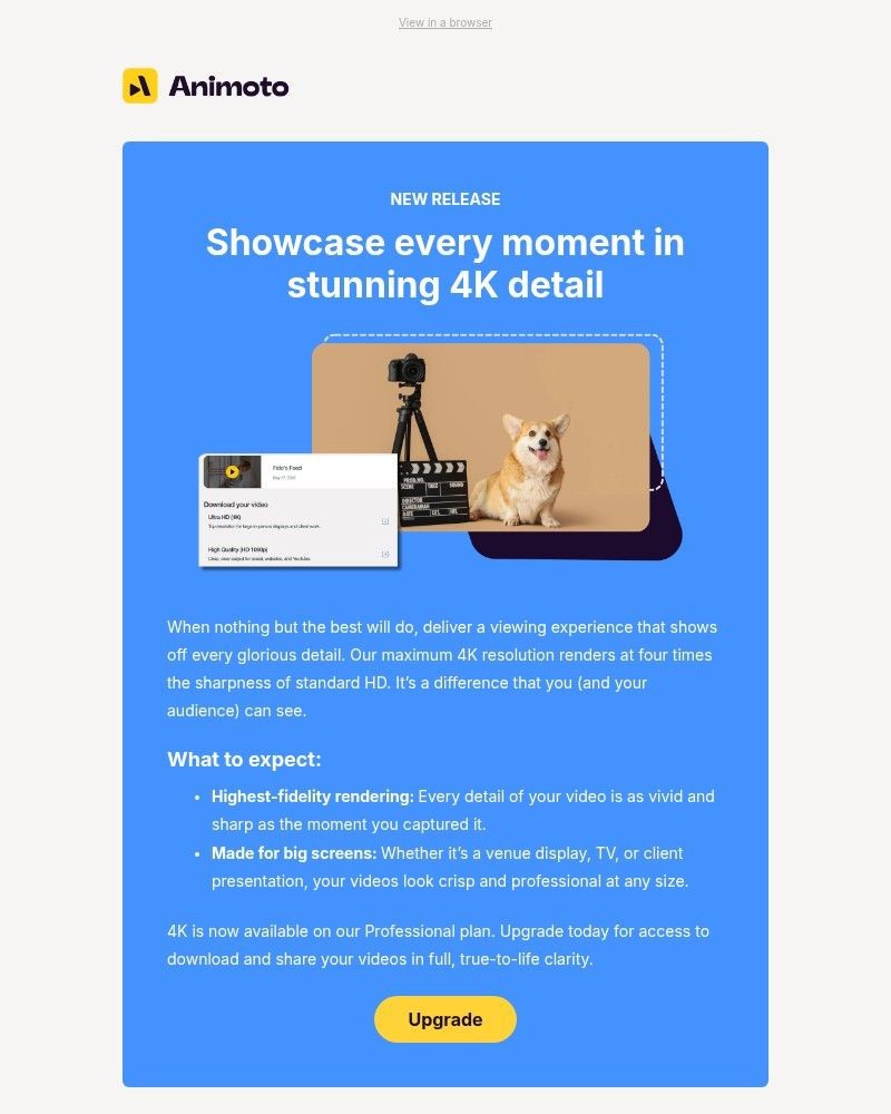 Screenshot of email with subject /media/emails/4k-video-is-here-a76938-cropped-dfd75fb3.jpg