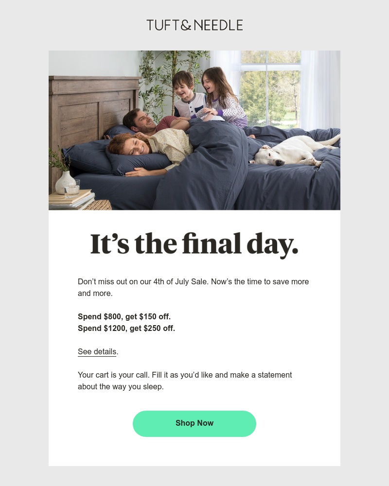 Screenshot of email with subject /media/emails/4th-of-july-sale-is-ending-cropped-287336a3.jpg