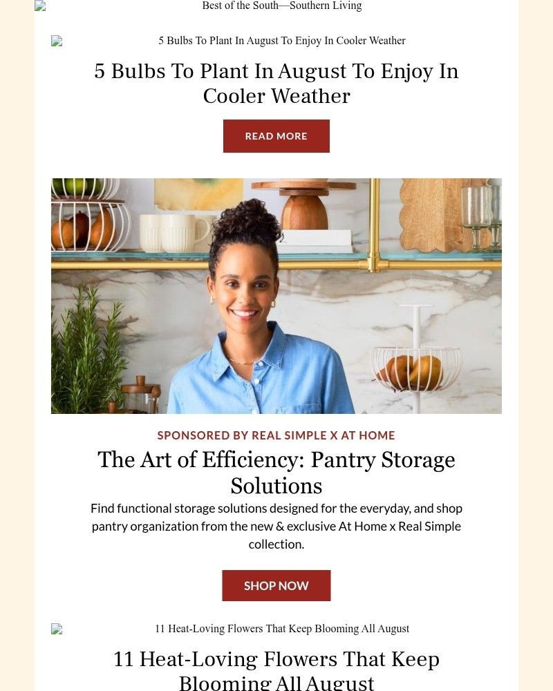Screenshot of email sent to a Southern Living Newsletter subscriber