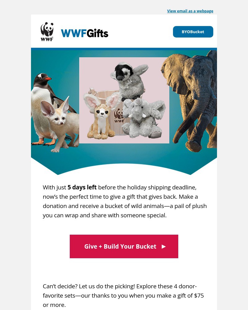 Screenshot of email sent to a World Wildlife Fund Newsletter subscriber