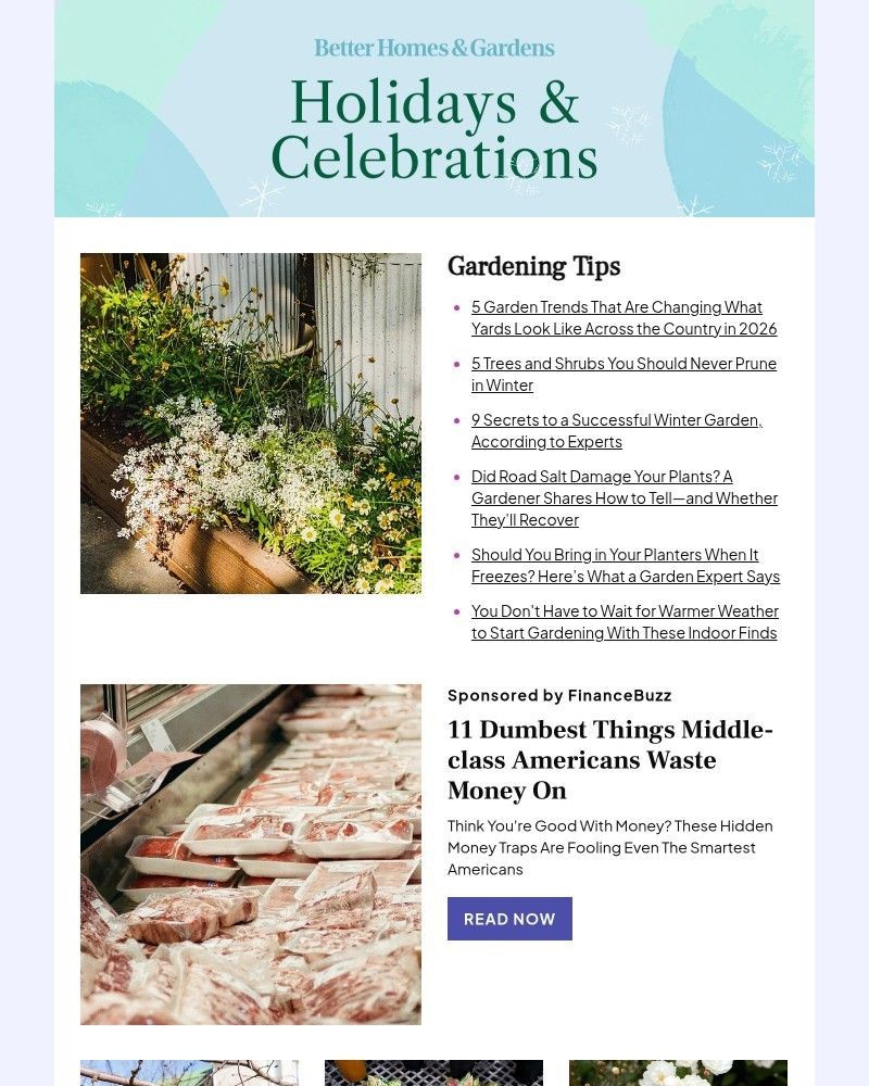Screenshot of email with subject /media/emails/5-garden-trends-that-are-changing-what-yards-look-like-across-the-country-in-2026_zHHuNMS.jpg
