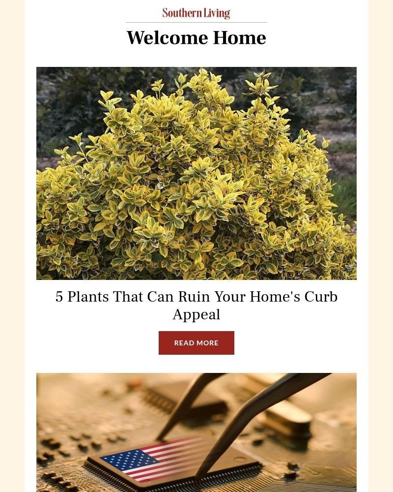 Screenshot of email with subject /media/emails/5-plants-that-can-ruin-your-homes-curb-appeal-8bcff2-cropped-716de1a7.jpg