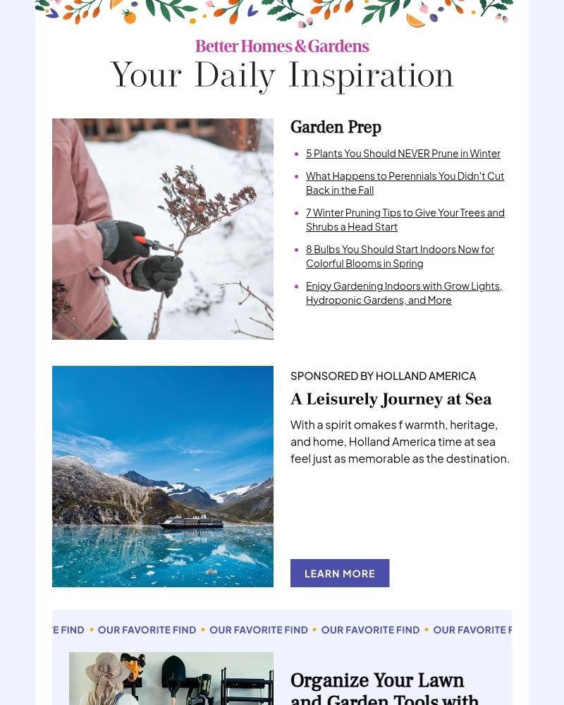 Screenshot of email with subject /media/emails/5-plants-you-should-never-prune-in-winter-fa8c3e-cropped-f771feea.jpg