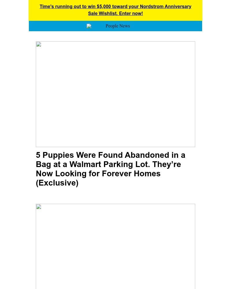 Screenshot of email with subject /media/emails/5-puppies-were-found-abandoned-in-a-bag-at-a-walmart-parking-lot-theyre-now-looki_SYJnPF5.jpg