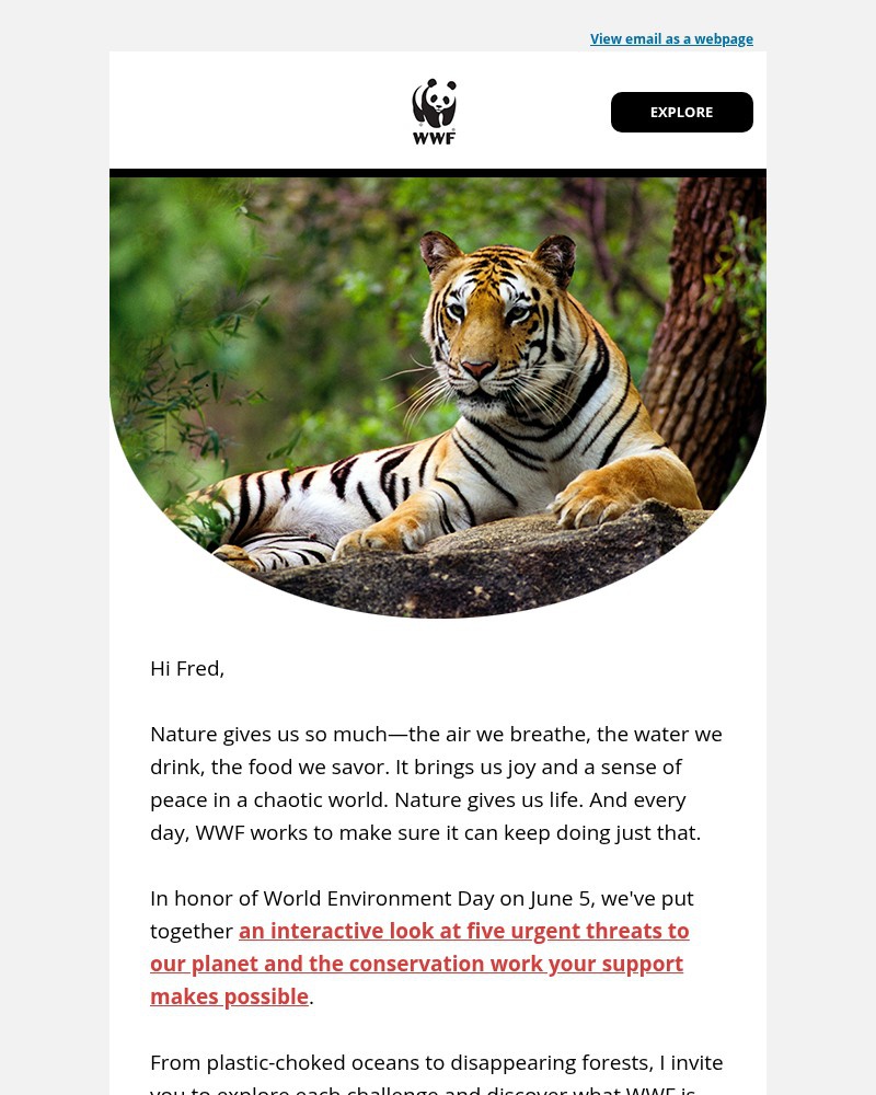 Screenshot of email sent to a World Wildlife Fund Newsletter subscriber