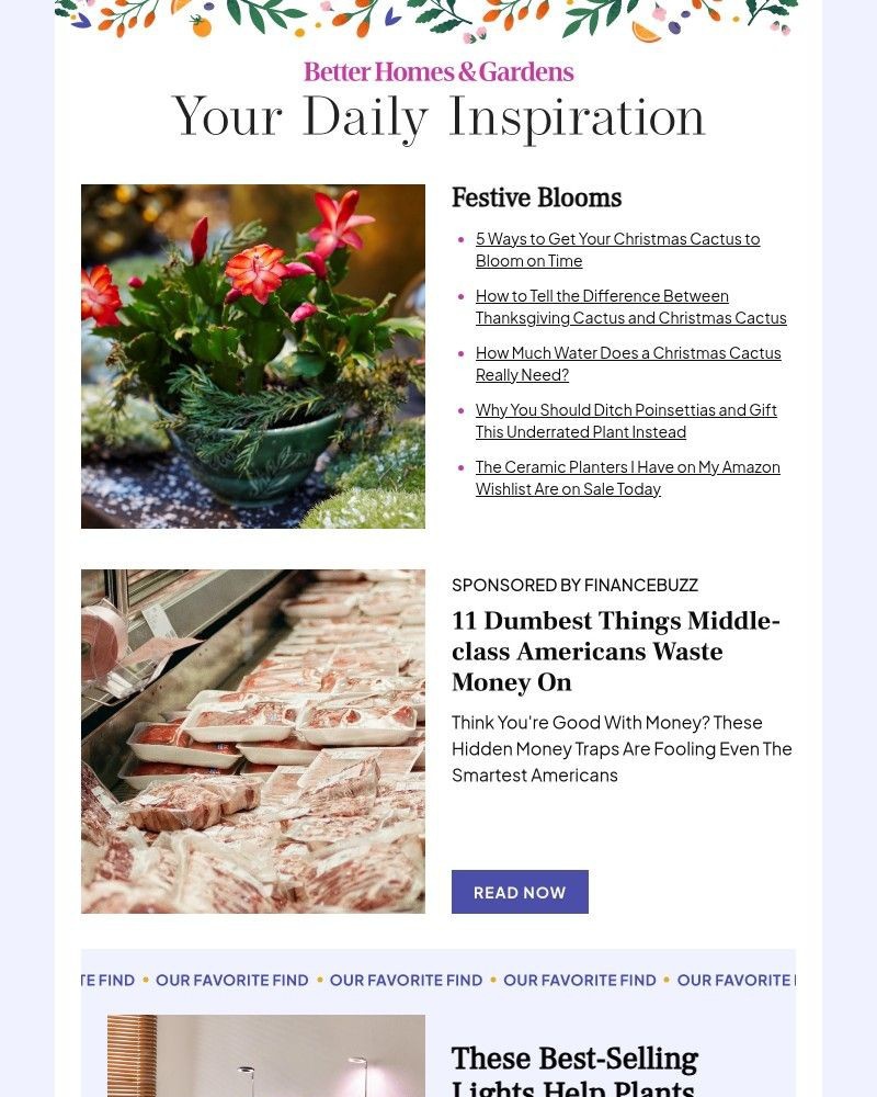 Screenshot of email with subject /media/emails/5-ways-to-get-your-christmas-cactus-to-bloom-on-time-7df9fb-cropped-d8d00cf3.jpg