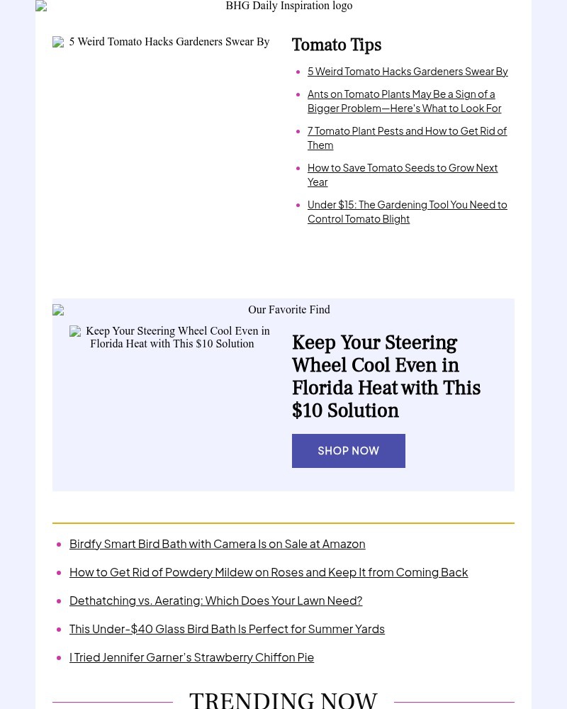 Screenshot of email sent to a Better Homes and Gardens Newsletter subscriber
