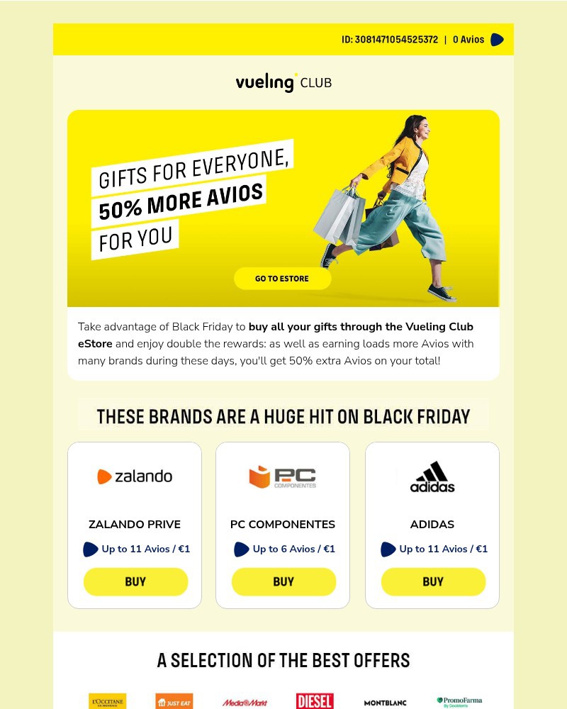 Screenshot of email sent to a Vueling Registered user