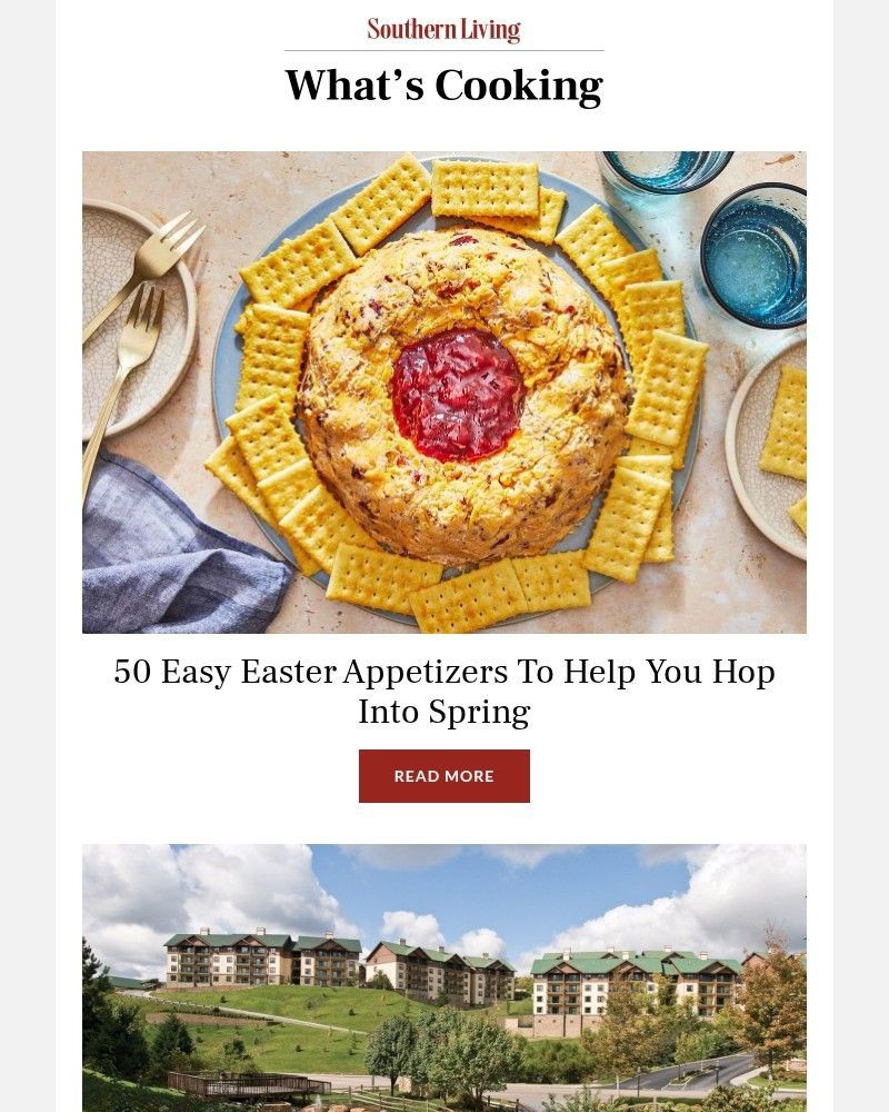 Screenshot of email sent to a Southern Living Newsletter subscriber