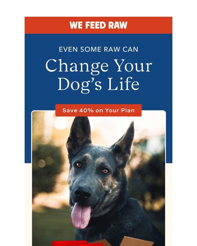 Screenshot of email with subject /media/emails/50-is-still-for-your-pup-35aeca-cropped-402427b3.jpg