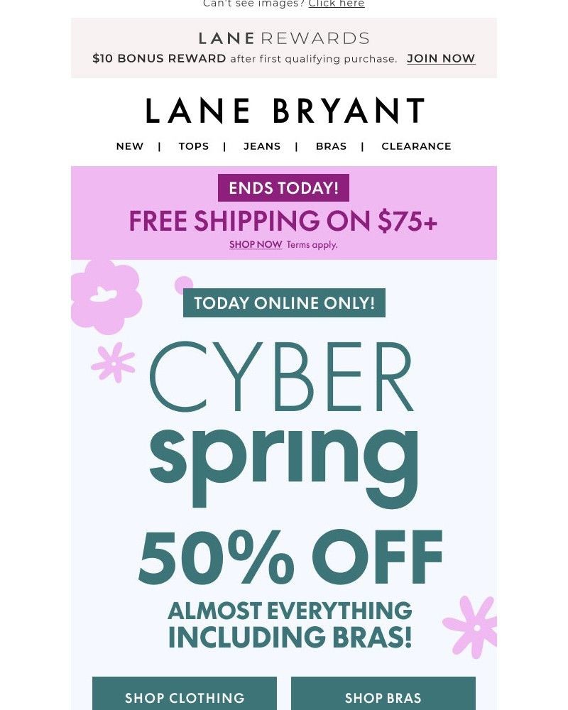 Screenshot of email with subject /media/emails/50-off-cyber-spring-today-only-4a0fe7-cropped-ed4b862b.jpg