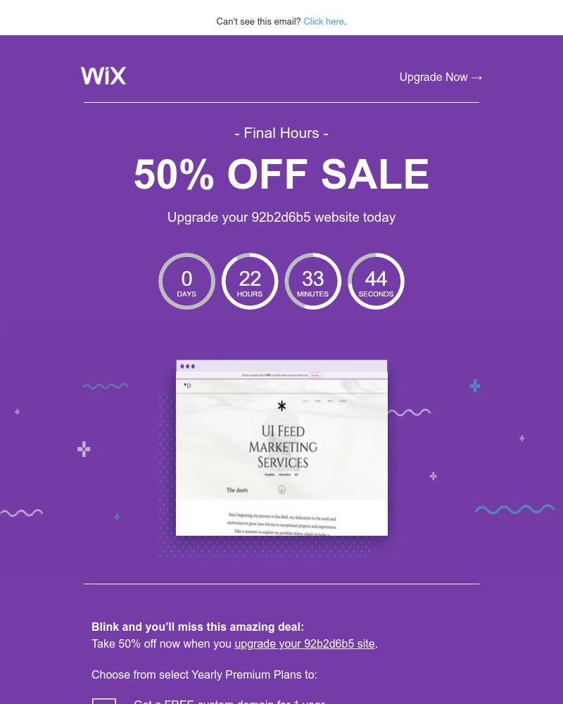 Screenshot of email sent to a Wix Registered user