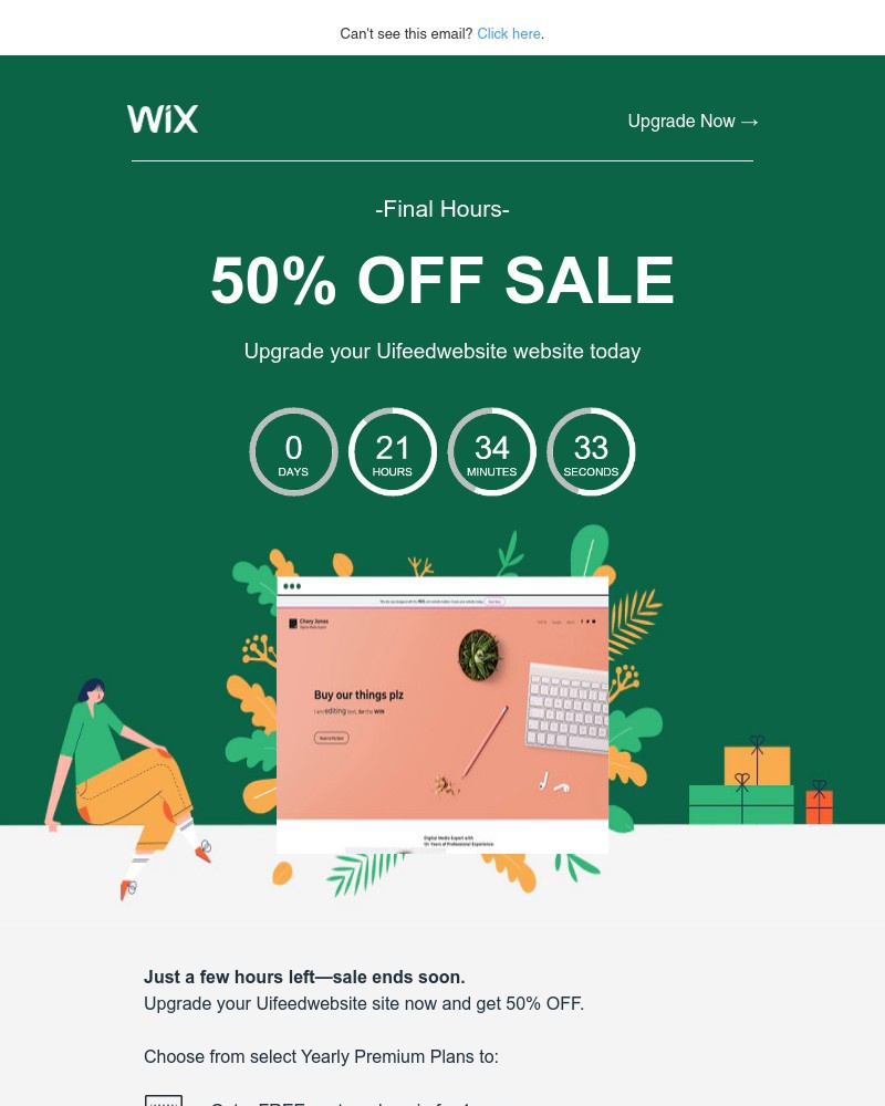 Screenshot of email sent to a Wix Registered user
