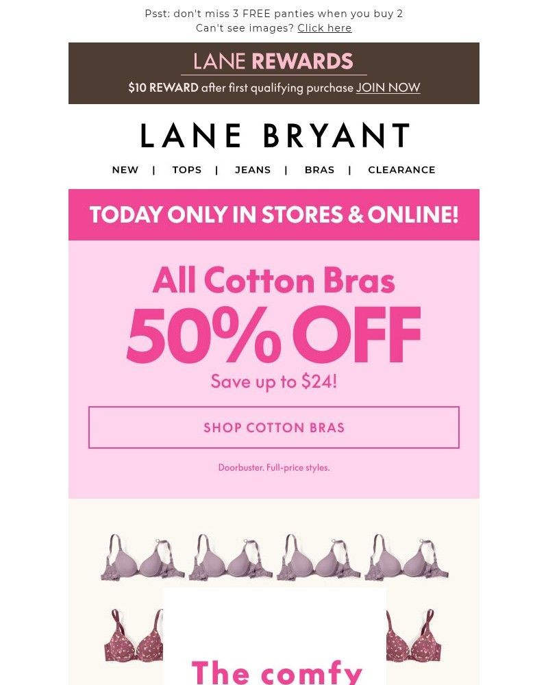 Screenshot of email sent to a Lane Bryant Newsletter subscriber