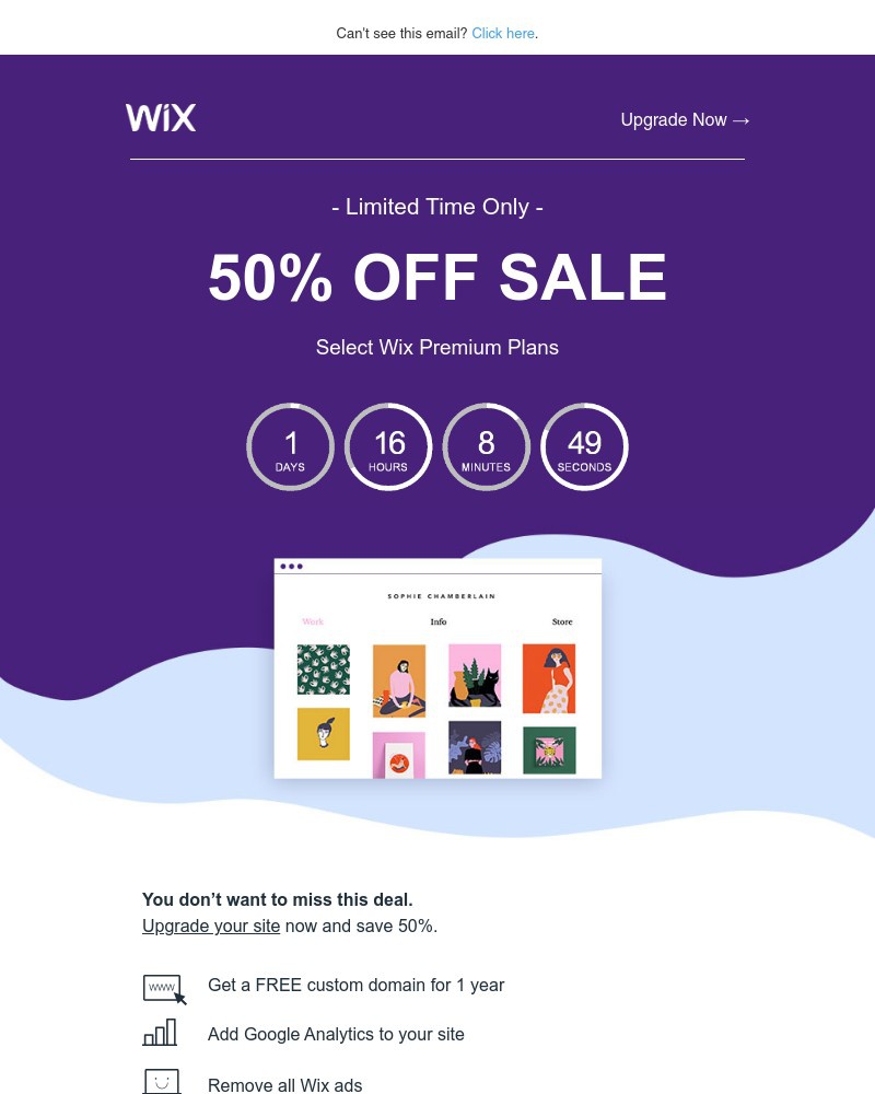 Screenshot of email with subject /media/emails/50-off-sale-happening-now-b800fb-cropped-0033f1d0.jpg