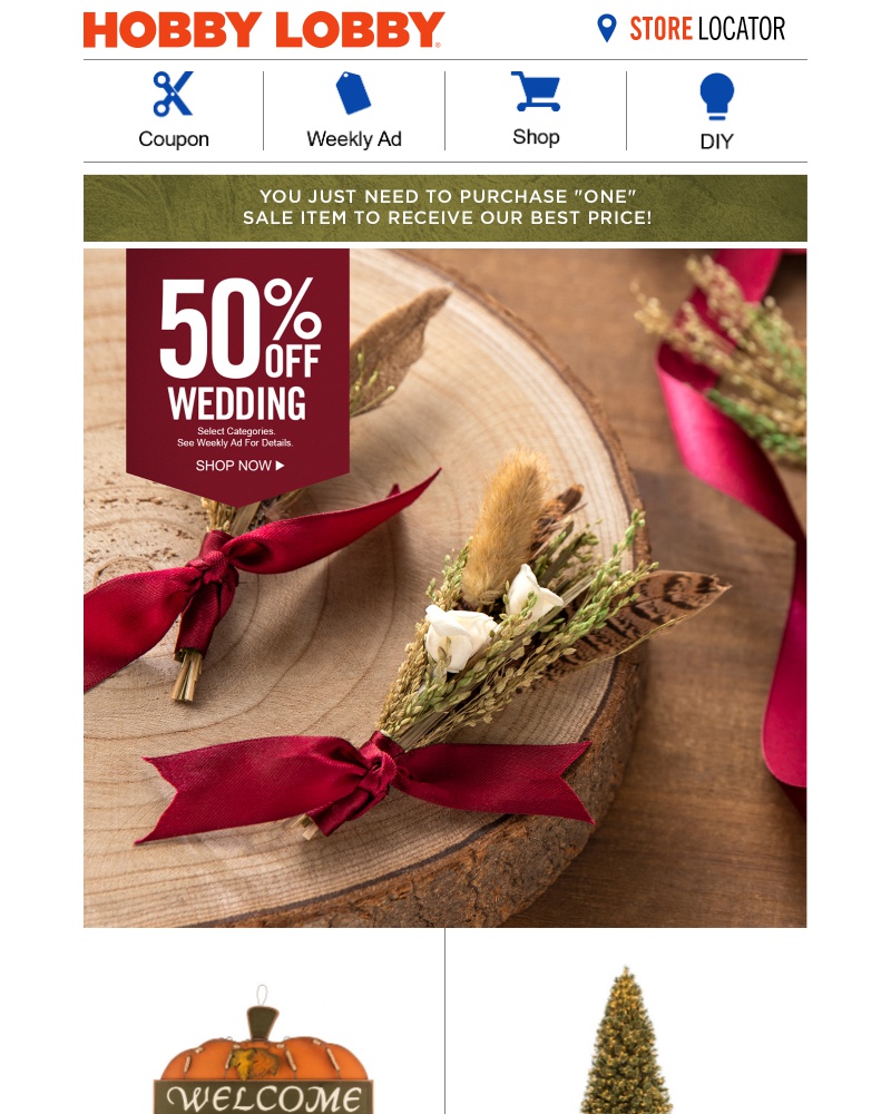 Screenshot of email with subject /media/emails/50-off-wedding-a6d017-cropped-50c68ac5.jpg