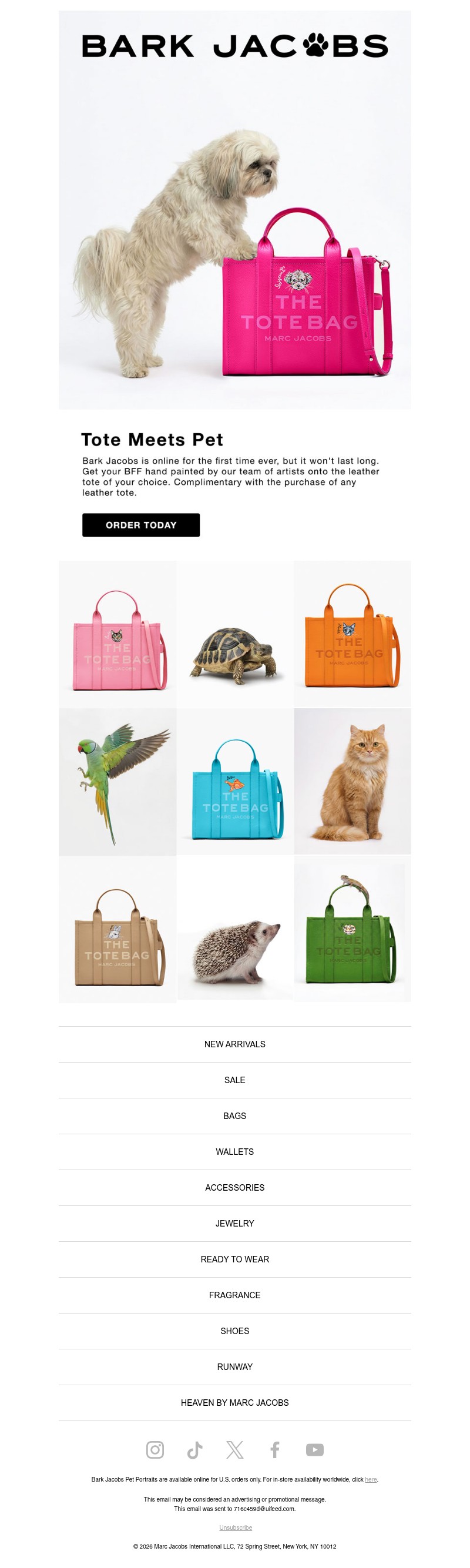 Screenshot of email with subject /media/emails/5006be34-99dc-41f4-aaee-f31af6e34002.jpg