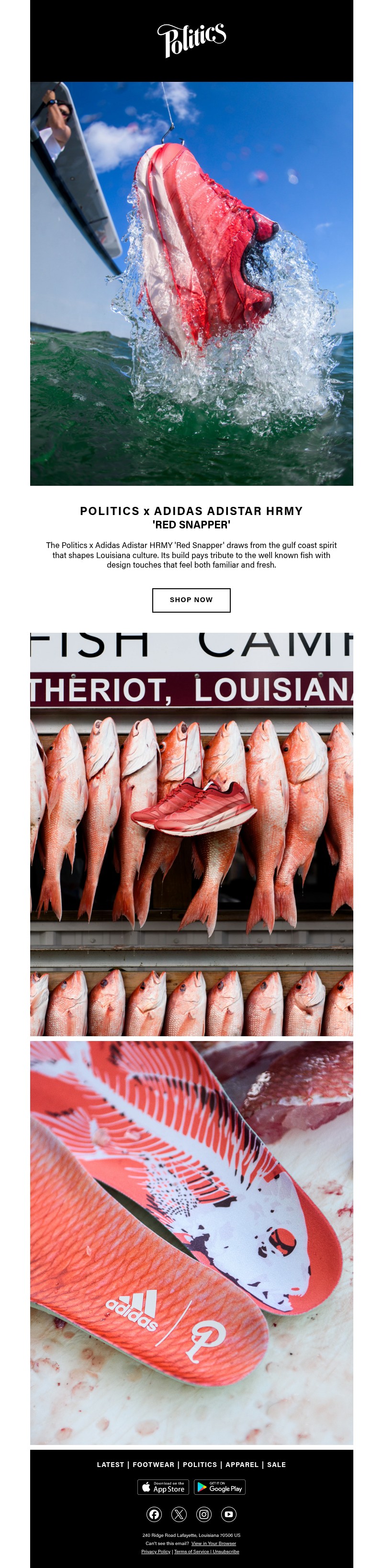 Screenshot of email with subject /media/emails/51c8aa5e-855a-4528-ba32-eac443d6eba8.jpg