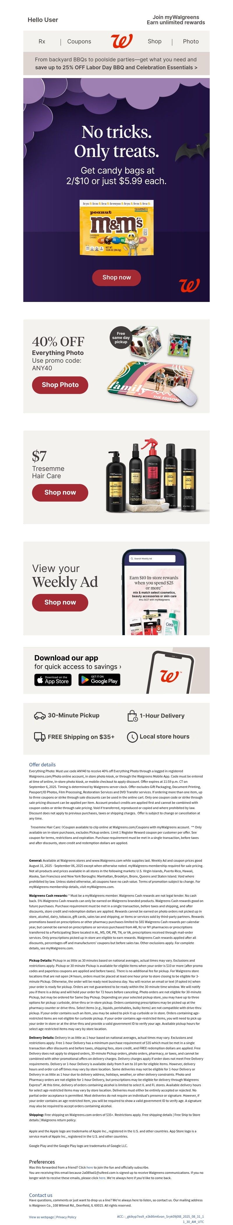 Screenshot of email with subject /media/emails/51d04461-7f9a-4608-b4b5-0c9b1f22703f.jpg