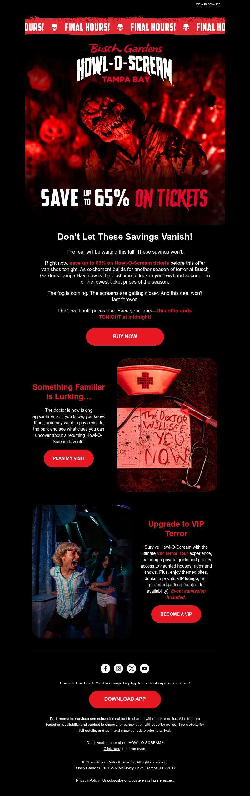 Screenshot of email with subject /media/emails/51d5fde4-e222-4b20-9737-6df221310595.jpg