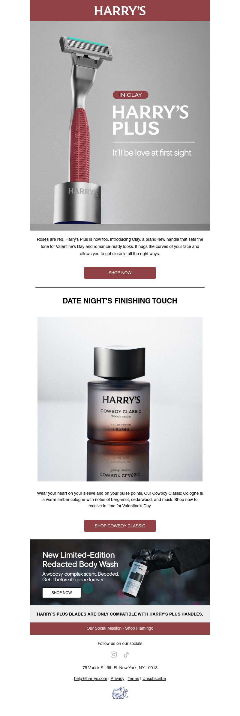 Screenshot of email with subject /media/emails/520e3cee-cf99-4610-92f4-bf94994559f6.jpg