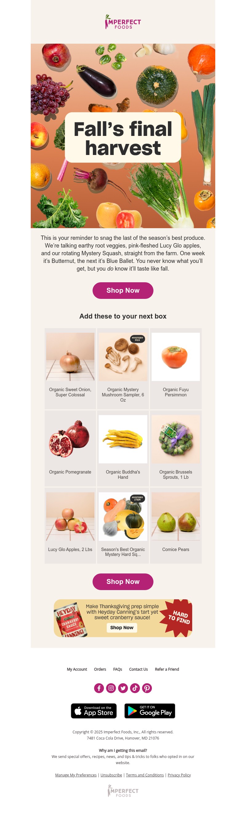 Screenshot of email with subject /media/emails/521002ce-30d1-4e61-b84b-5212a5a689a9.jpg