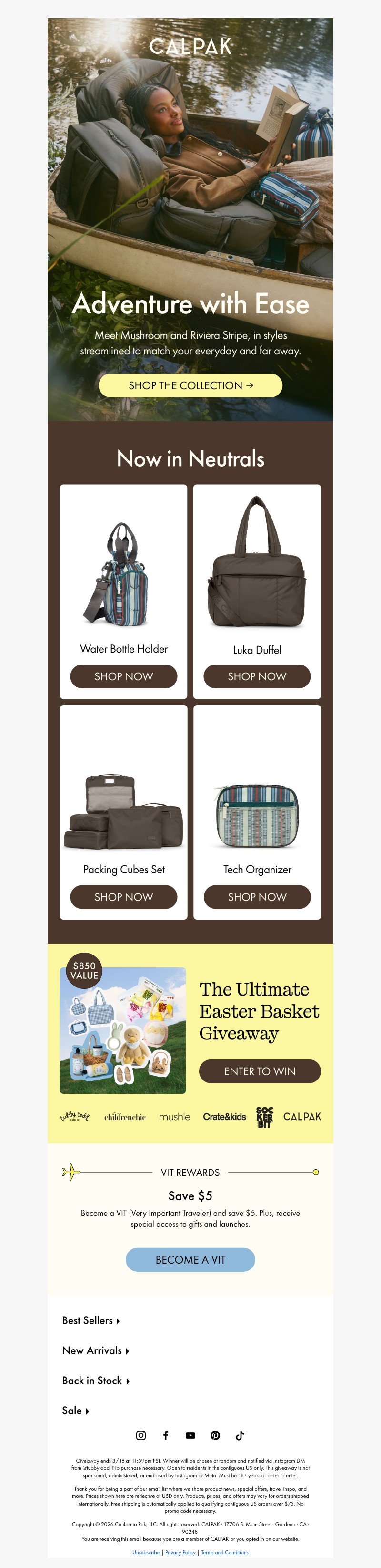 Screenshot of email with subject /media/emails/52341d1b-bd4c-4069-ae07-6eb45a8bf1ef.jpg