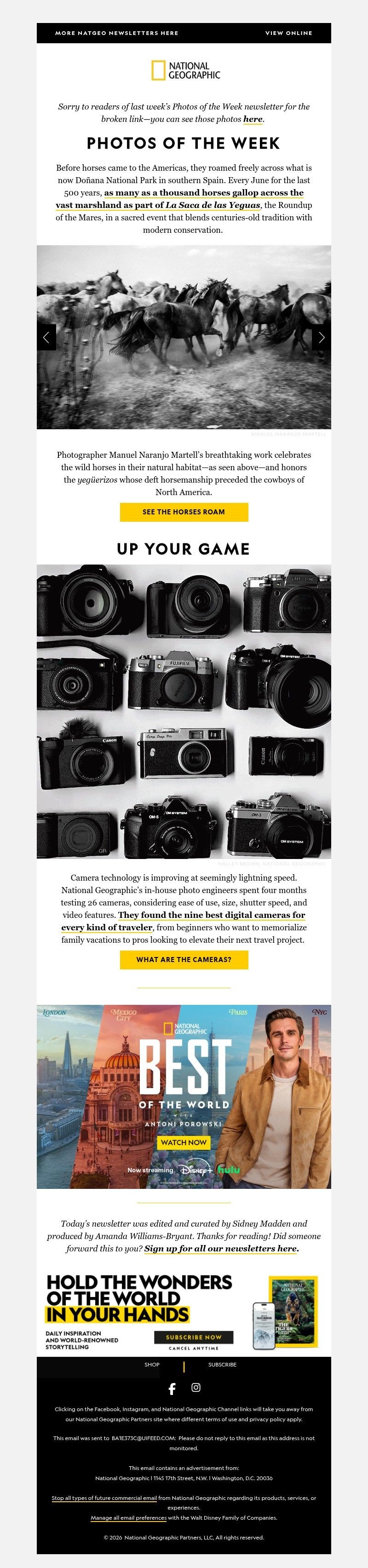 Screenshot of email with subject /media/emails/5242c4bf-6e54-4e77-a282-21399139a193.jpg