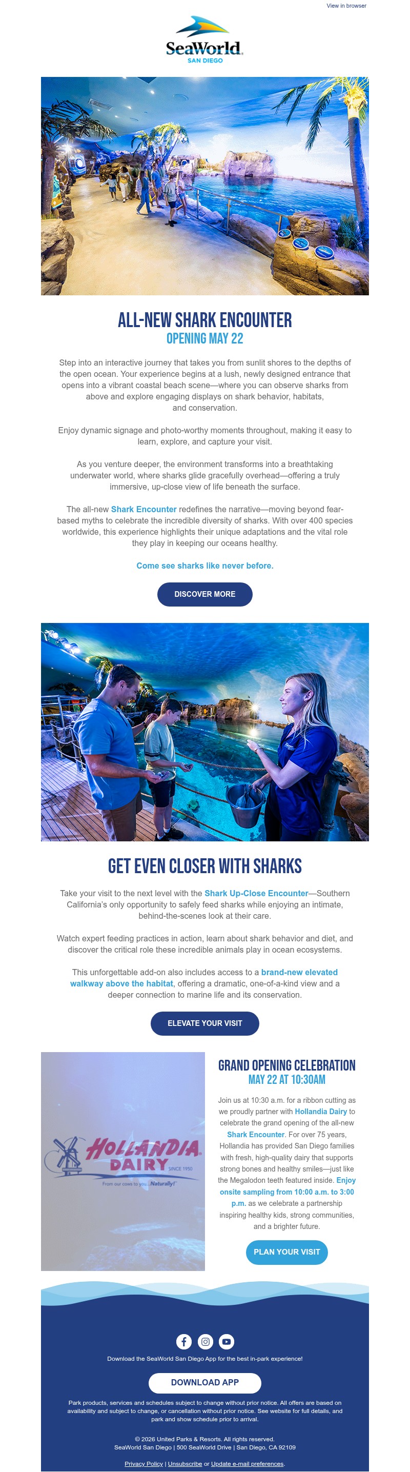 Screenshot of email with subject /media/emails/525f4ea4-caa4-476b-8879-30996ecf7404.jpg