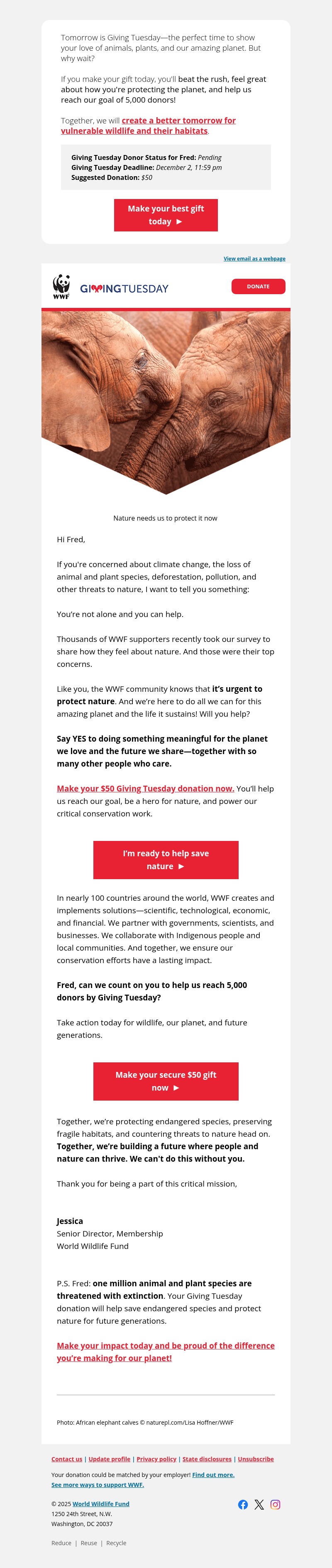 Screenshot of email with subject /media/emails/52afab4f-c14a-4588-b487-ae0a77d43fa4.jpg