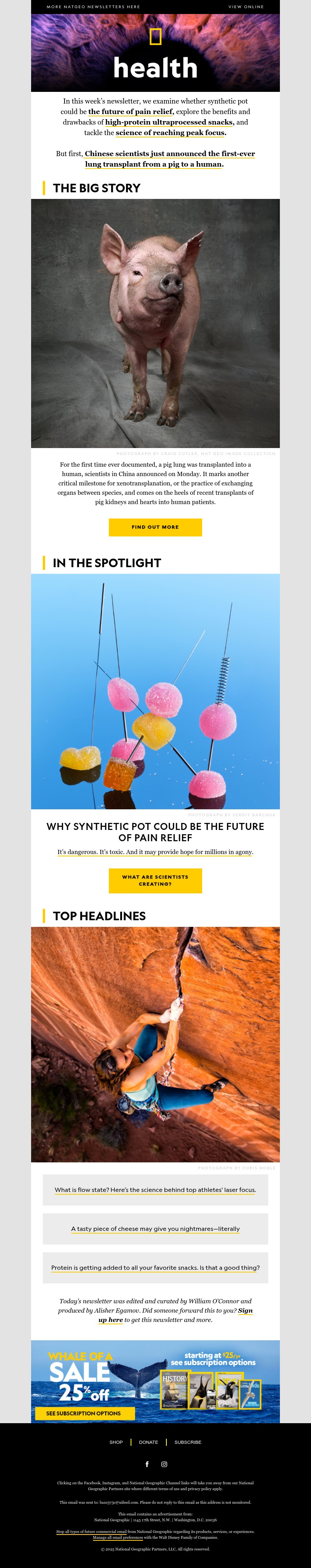 Screenshot of email with subject /media/emails/52d8109e-157a-4619-a8b1-7166b46b0609.jpg