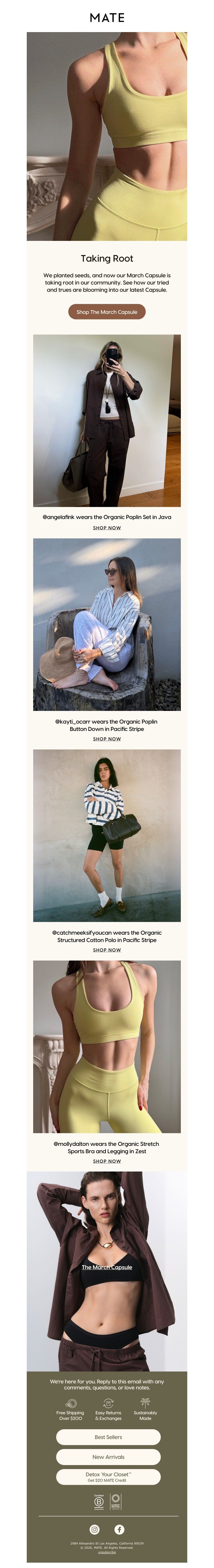 Screenshot of email with subject /media/emails/52ffd6c5-7ddb-4ac6-8d81-2308d5733d06.jpg