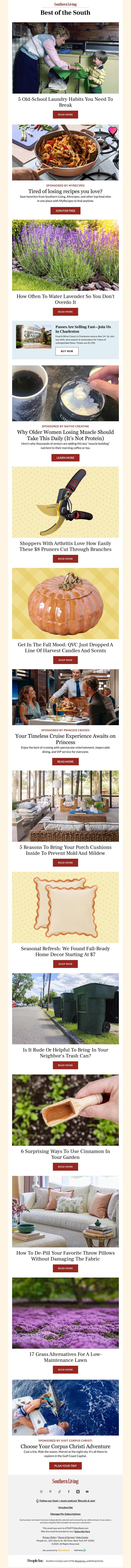 Screenshot of email with subject /media/emails/53041aa8-f491-41cd-88a2-7852292decbc.jpg