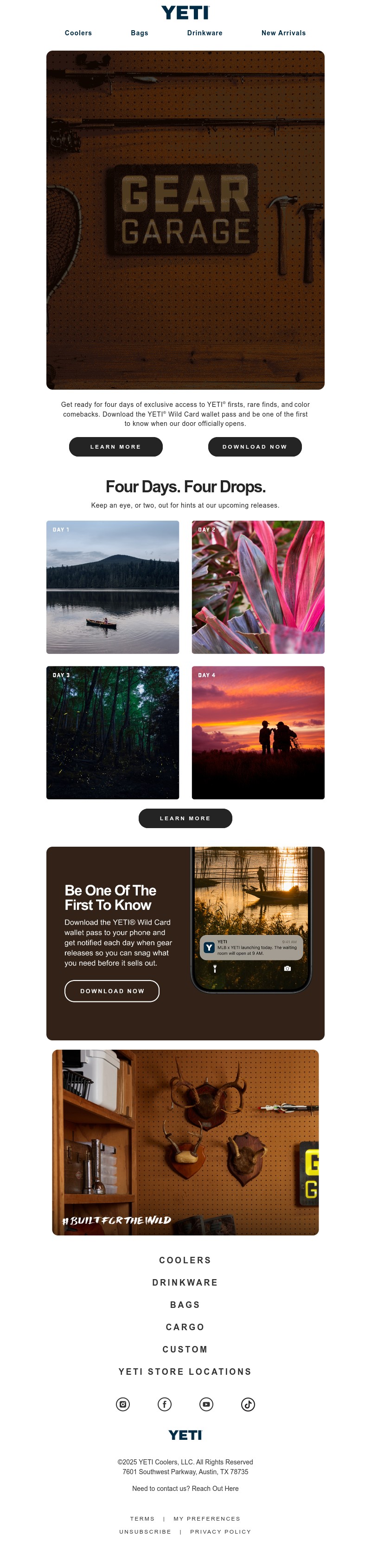 Screenshot of email with subject /media/emails/5309e71d-f1e0-418a-9146-c10a2d96e06b.jpg
