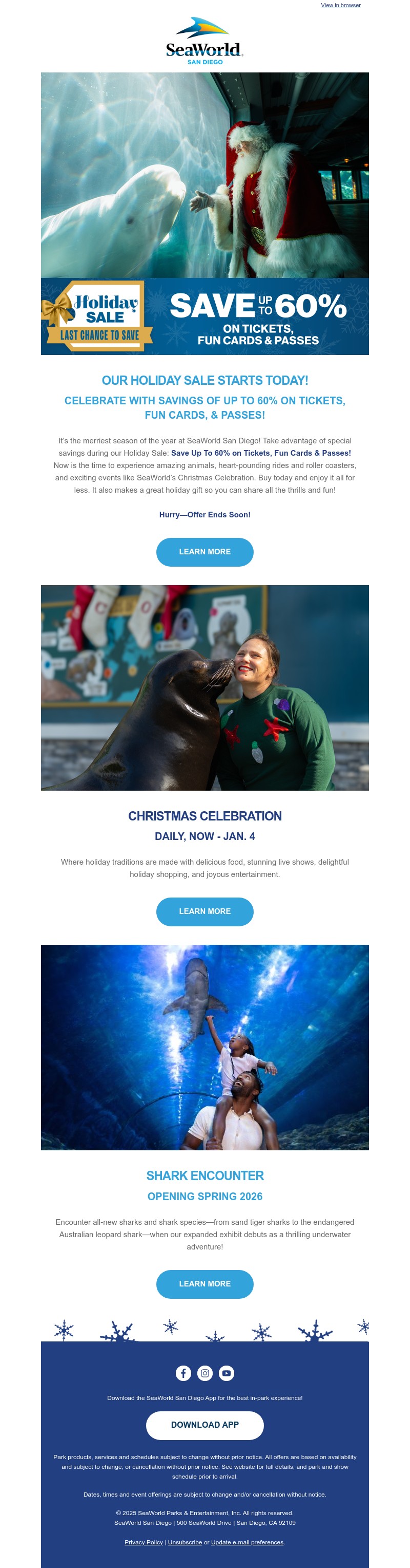 Screenshot of email with subject /media/emails/533a9186-f776-4a87-8abb-717638be4faf.jpg