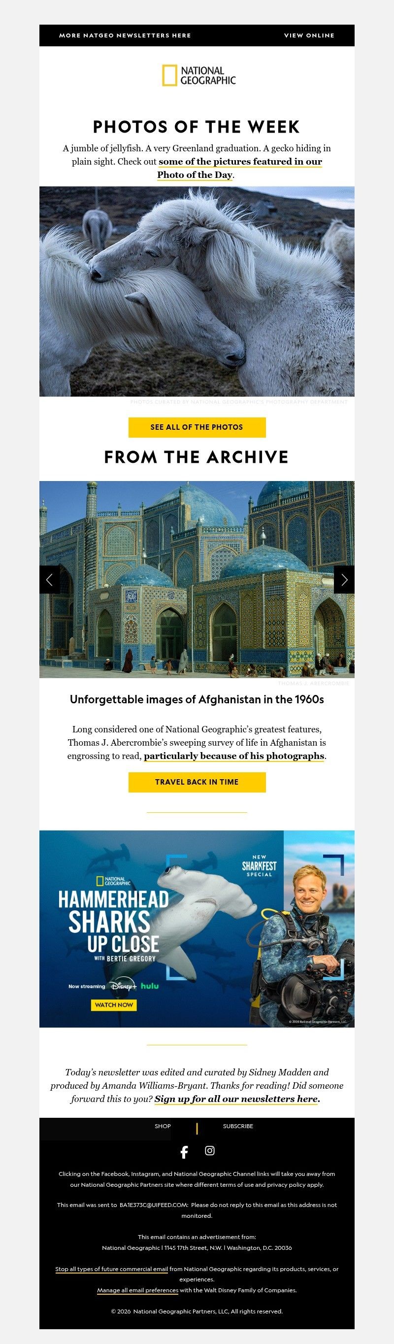 Screenshot of email with subject /media/emails/53bef8f0-5e13-44d5-aa72-819440387d90.jpg