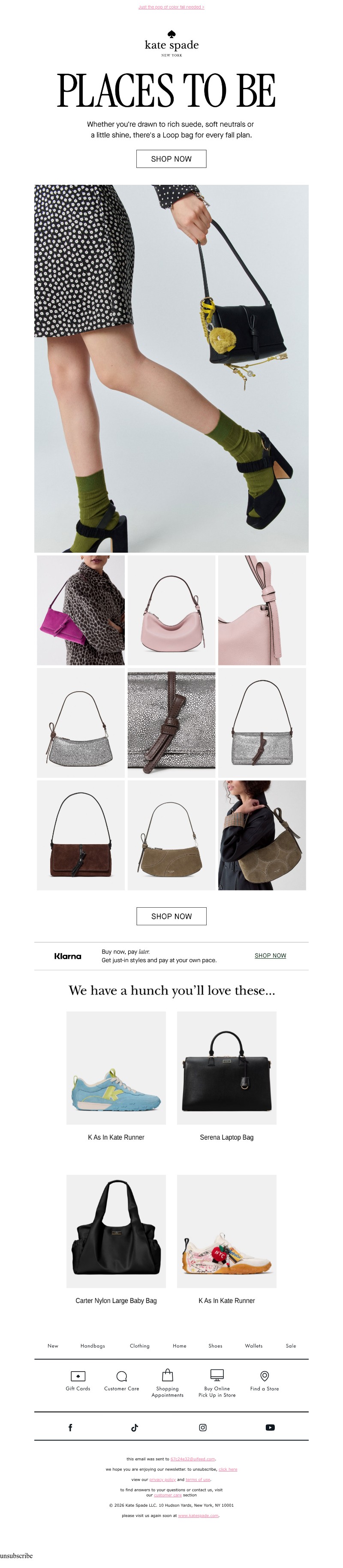 Screenshot of email with subject /media/emails/53d17c17-8745-48cc-b132-8786680d37b0.jpg