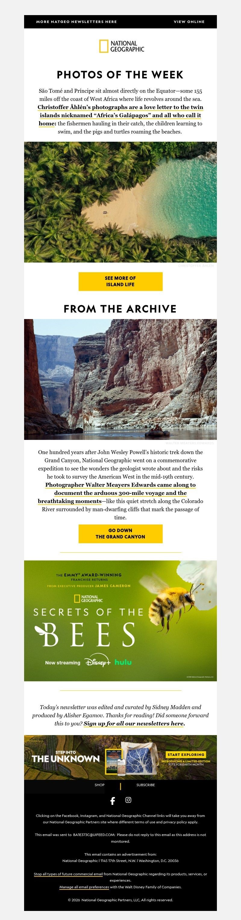 Screenshot of email with subject /media/emails/53d9dff4-250c-496d-93f4-52dc1333ff7e.jpg