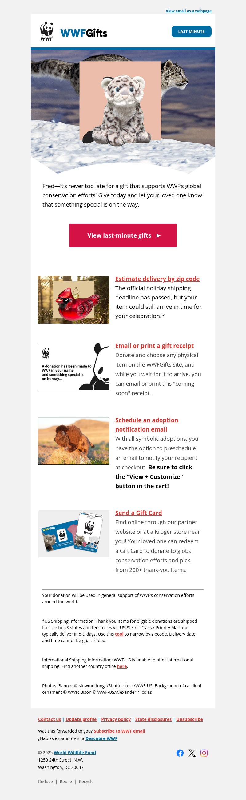 Screenshot of email with subject /media/emails/542bedc6-4cef-4594-aa8a-56c3aa2a6d93.jpg