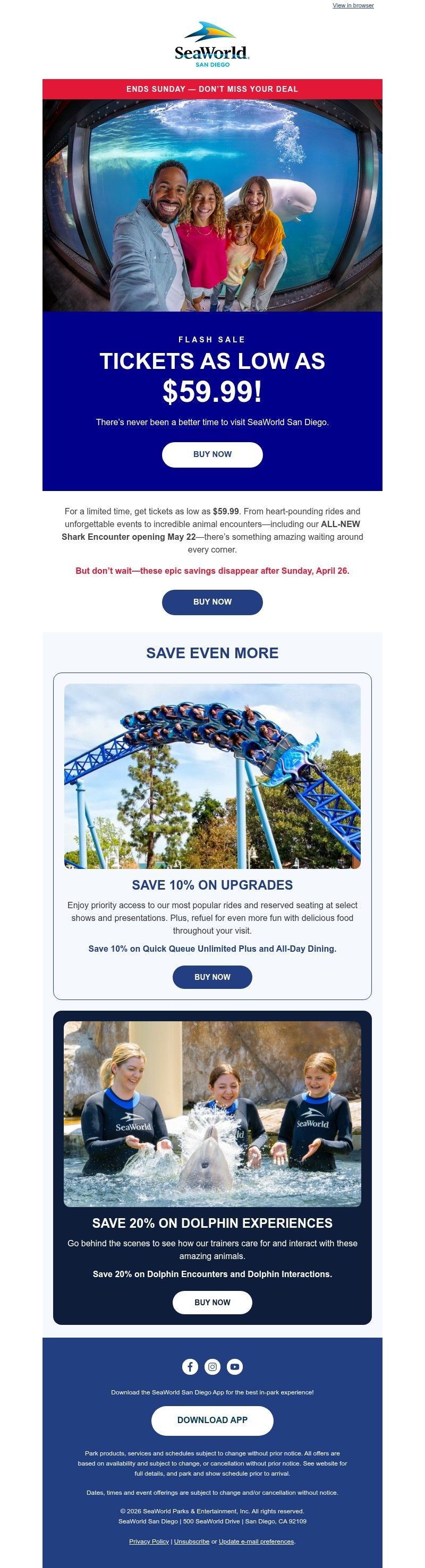 Screenshot of email with subject /media/emails/5446d344-4af0-47c2-b08b-d3c3a2e3f0f4.jpg