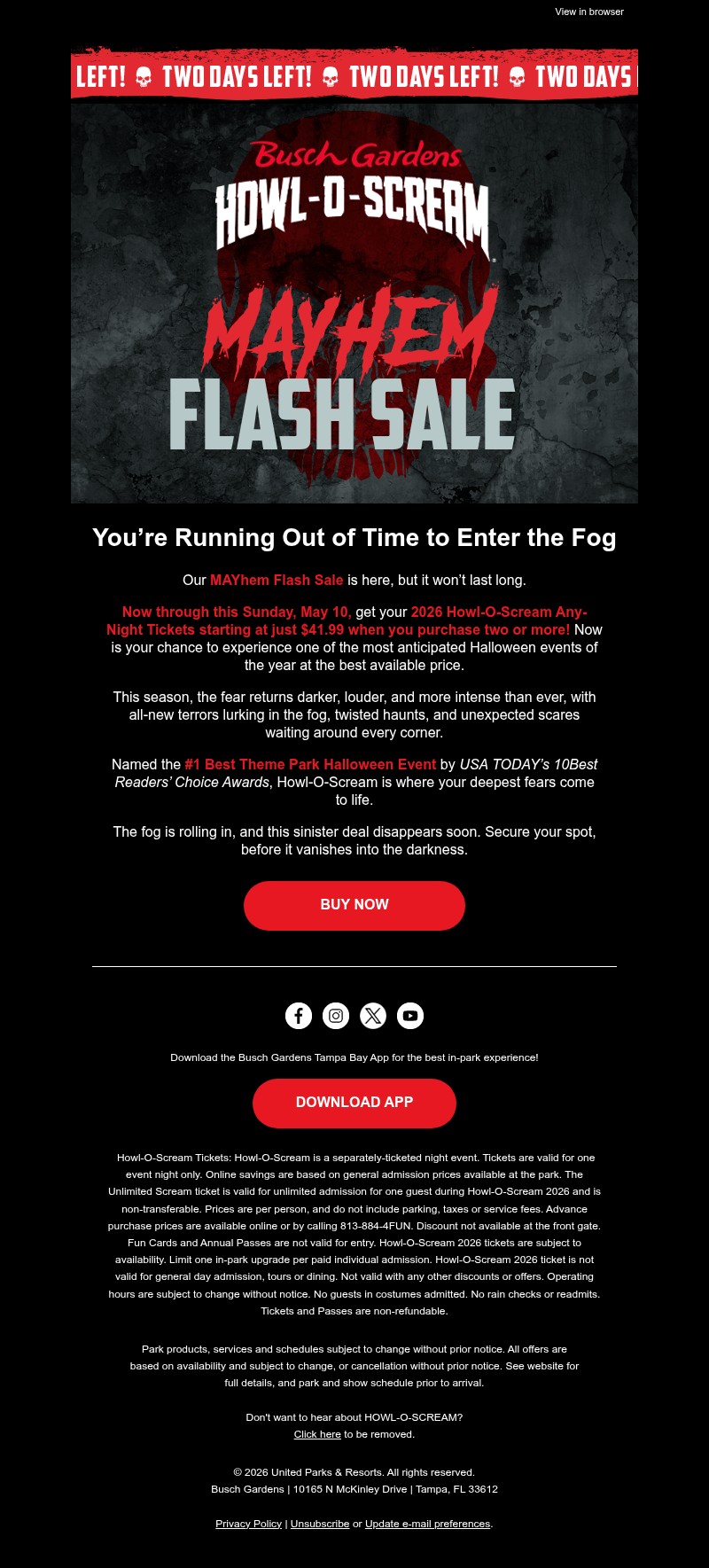 Screenshot of email with subject /media/emails/54fa8c53-cc09-43e9-ab2f-9c1bb0a05453.jpg