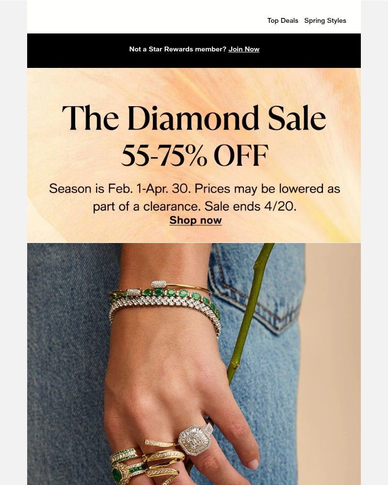 Screenshot of email with subject /media/emails/55-75-off-diamonds-gemstones-more-58f2f4-cropped-277d14a1.jpg