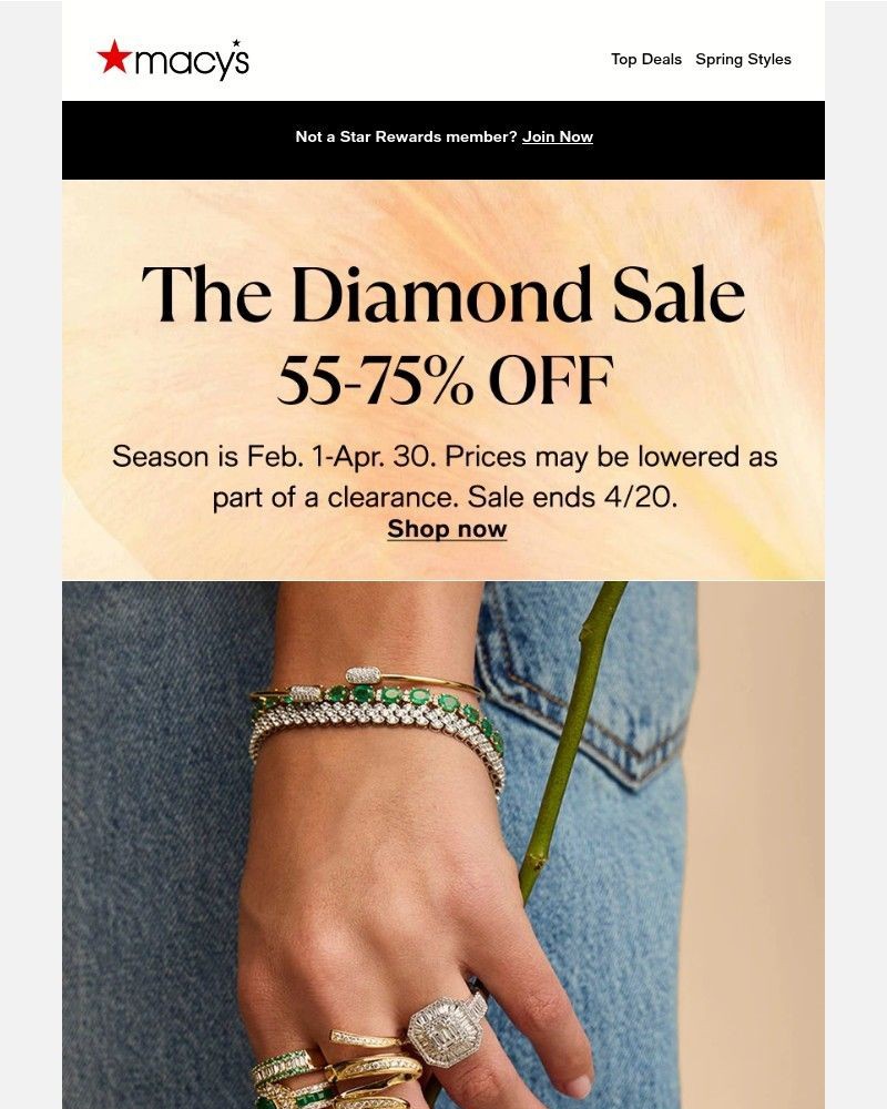 Screenshot of email with subject /media/emails/55-75-off-diamonds-gemstones-more-f5677e-cropped-e259b9ad.jpg