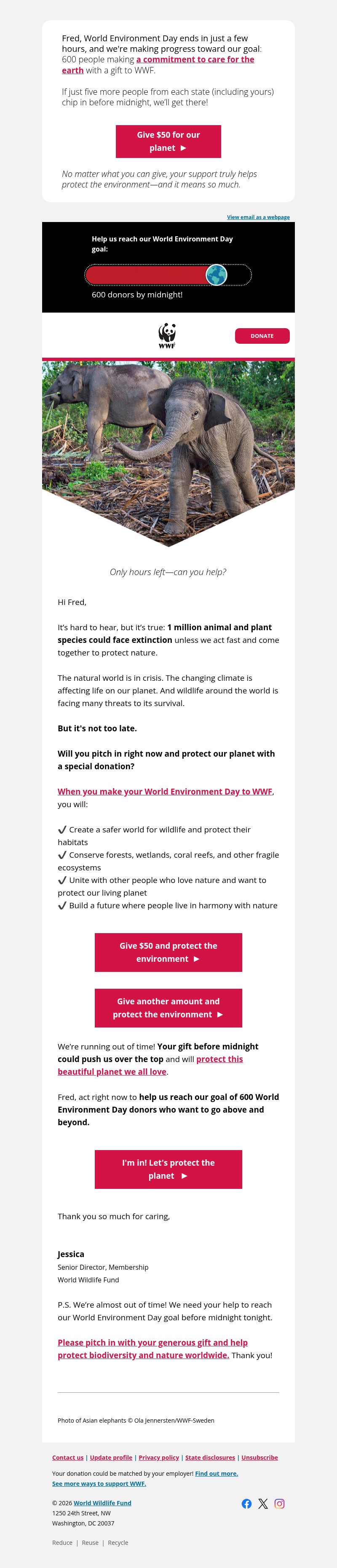 Screenshot of email with subject /media/emails/55131667-9b71-4fa2-aad7-96ad2a694b35.jpg